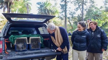 El intendente Julio Alak se acercó al operativo que llevaron adelante los técnicos del Bioparque La Plata.