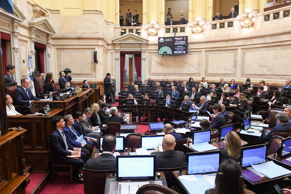 El senado, durante una sesión.&nbsp;