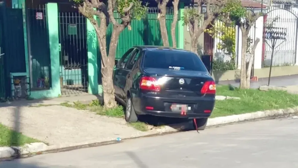 El Fiat Siena de Leandro Giménez quedó sobre la vereda, contra un árbol. (Noticias Argentinas)