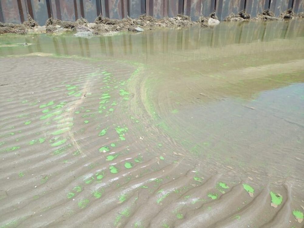 Alerta por la presencia de cianobacterias.