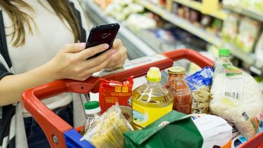 Una persona con el changuito en el supermercado. 