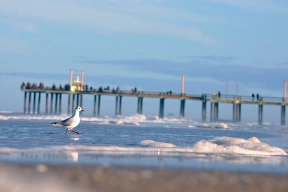 El mar de Ville Gesell.