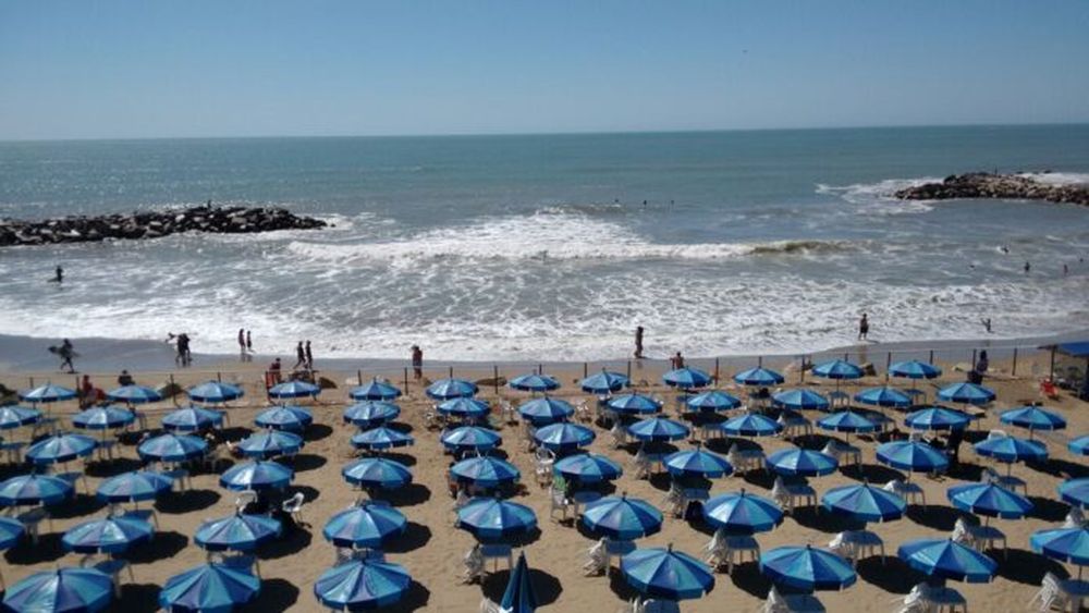 Mar del Plata advirtió que este fin de semana hay alto riesgo de incendios forestales. (Conicet)