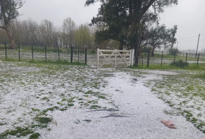 Fuerte granizada en la zona rural de Trenque Lauquen.