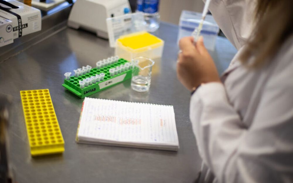 El Gobierno sufrió una nueva renuncia en las últimas horas. Alicia Caballero anunció que dejará por “motivos personales” la presidencia de la Agencia I+D+i.