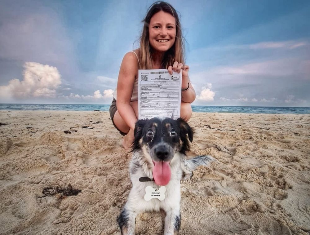 Claves para viajar con una mascota al exterior.&nbsp;