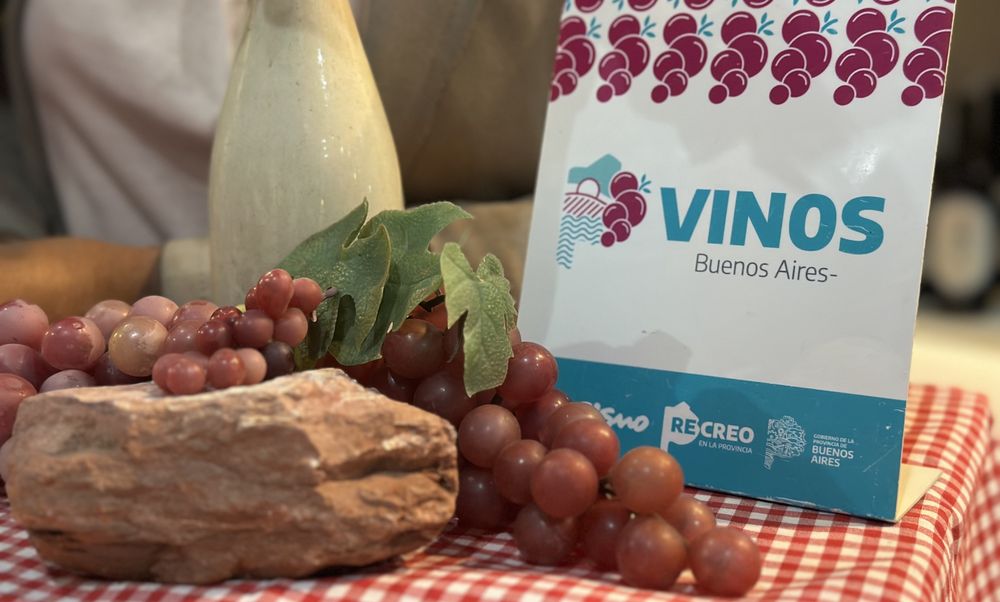vinos rs