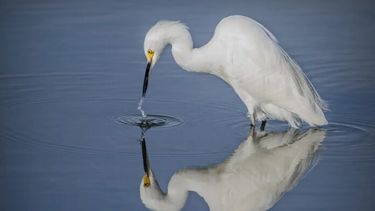 Mar Chiquita, una opción para este fin de semana. - Turismo Mar Chiquita -