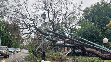 Diarios Bonaerenses | En Zárate toda la ciudad se quedó sin suministro eléctrico, hubo destrozos y recién comienzan a restablecerse algunos servicios. (Gentileza El Debate de Zárate)