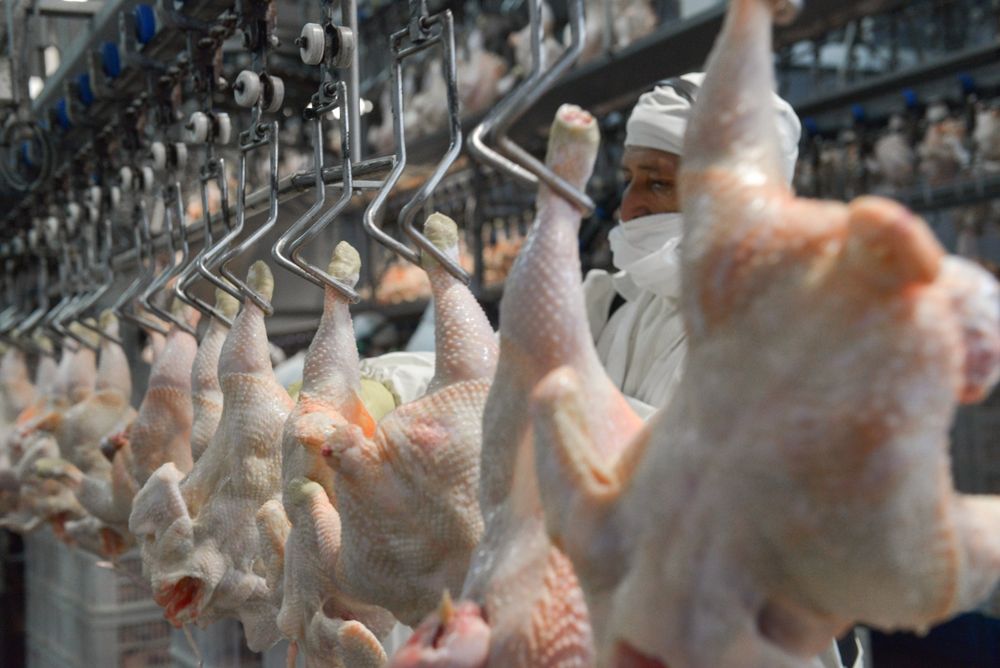 Novedades para el mercado de la carne argentina.&nbsp;