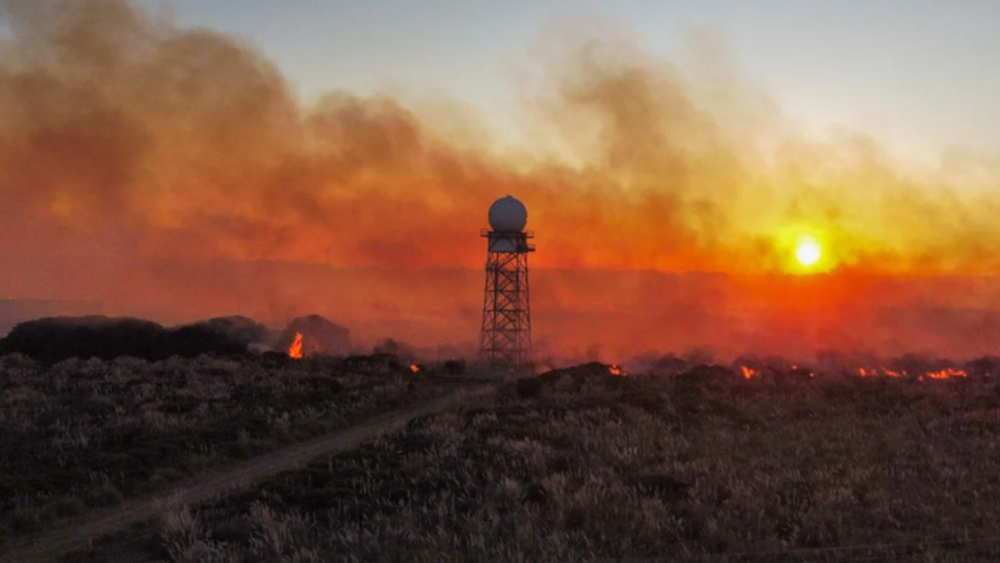 Incendio en el predio de Obras Sanitarias de Mar del Plata. (www.quedigital.com.ar)