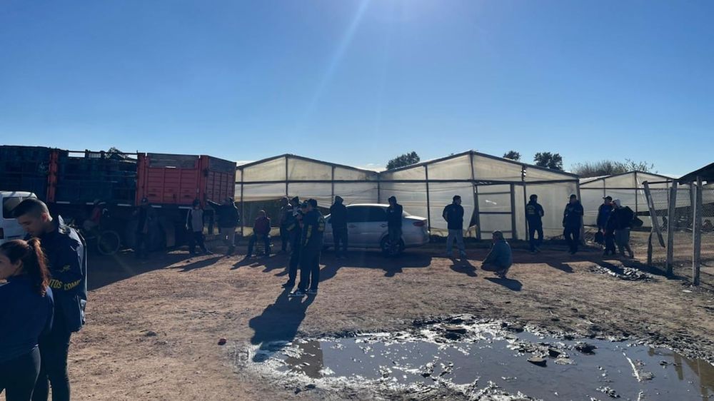 Unas 150 personas fueron encontradas en situación de explotación laboral y precariedad habitacional en un predio de Los Hornos, ubicado en 185 y 80. 