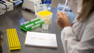 El Gobierno sufrió una nueva renuncia en las últimas horas. Alicia Caballero anunció que dejará por “motivos personales” la presidencia de la Agencia I+D+i.