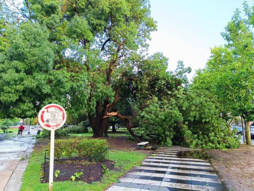 Los destrozos por el temporal en Miramar. (La Capital)