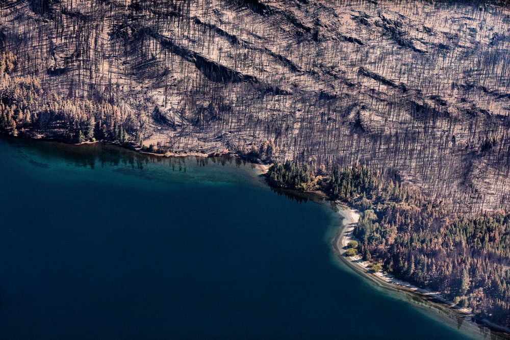 Ya son más de 40.000 hectáreas afectadas, arrasando con bosques, plantaciones, pastizales y viviendas. (Greenpeace)&nbsp;