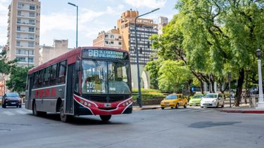 Un colectivo circulando por la Ciudad de Córdoba.