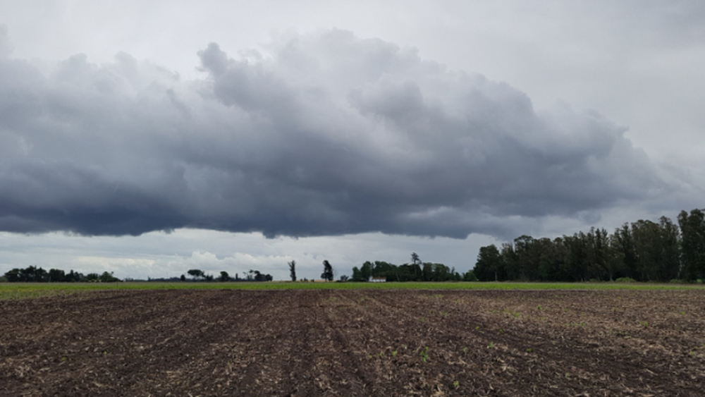 Se esperan tormentas intensas en varios distritos bonaerenses.