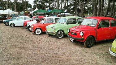 Para los amantes del Fiat 600, Mar de Ajó es el lugar a visitar este fin de semana. - “Los cómplices del 600 La Costa” -