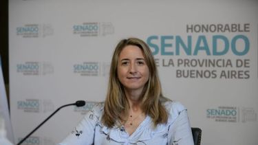 La senadora de Juntos por el Cambio (JxC) Flavia Delmonte.