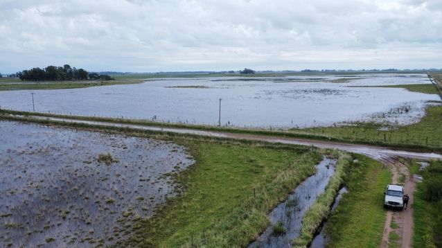 Un campo inundado en el corazón de la provincia de Buenos Aires.