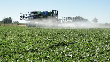 Diarios Bonaerenses | La fumigación en la mira.
